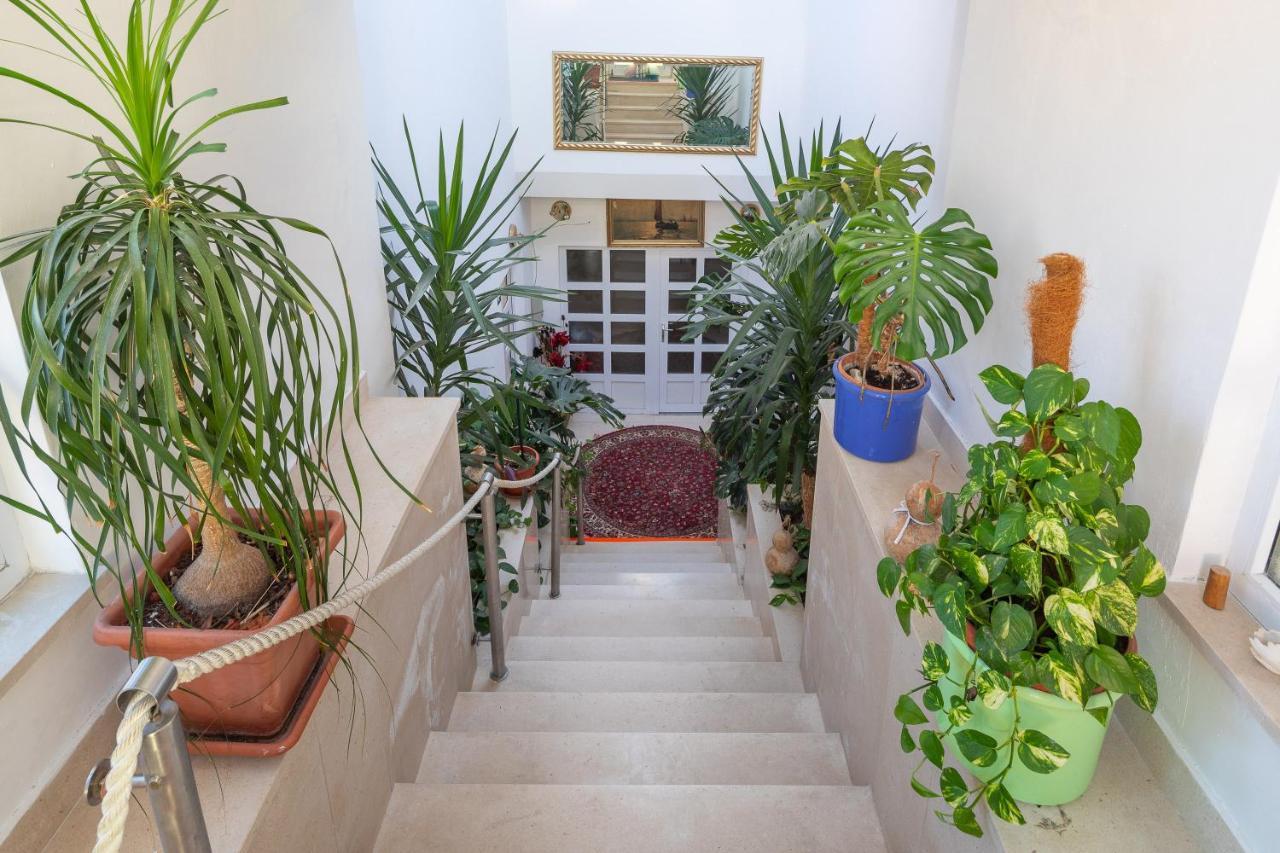 Germania Rooms & Apartments سيلينا المظهر الخارجي الصورة